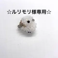 ☆ルリモリ様専用☆