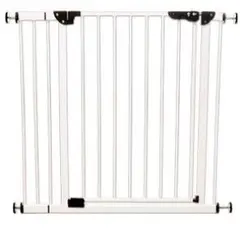 Item thumbnail for item a6f30d47-8fd8-47b1-8e1b-0b8edaa58a7c