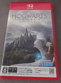 ホグワーツレガシー　ソフト