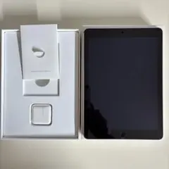 Apple iPad Air2 スペースグレー 本体【ジャンク】