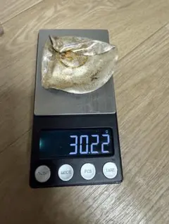 Item thumbnail for item 7d95c55f-cd48-48c3-be90-24e02a96ae67