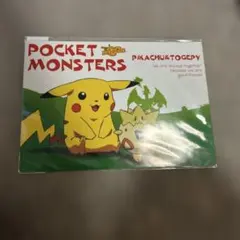 未使用 劇場版ポケットモンスター ピカチュウのなつやすみ - メルカリ