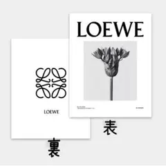 インテリアブック ダミーブック フェイクマガジン 韓国雑貨 撮影小物