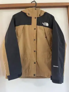 THE NORTH FACE GORE-TEX ジャケット レディースLサイズ