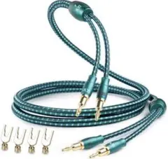 Item thumbnail for item 20ed41bc-e5df-42f8-bc84-794d52e0477d