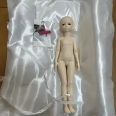 カスタムドール 本体 球体関節人形　BJD 素体
