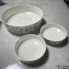 Item thumbnail for item aee04a95-673d-4bc8-929a-7d310f18562c