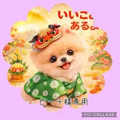 【12月】ピーチ様専用