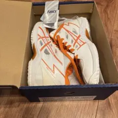 ASICS GELHOOP V6-slim バスケットボールシューズ