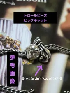 トロールビーズ◆ビッグキャット◆ＴＲＯＬＬＢＥＡＤＳ