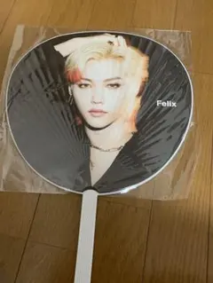 Stray Kids スキズ　 フィリックス Scars ソリクン うちわ