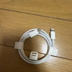 Apple Type C-Lightningケーブル ホワイト