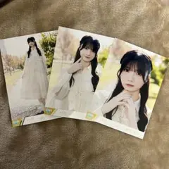 菅波美玲 きゅんかわ人生①② 生写真 コンプ+ヨリ直筆 セット 菅波美玲 きゅんかわ人生 コンプ - メルカリ