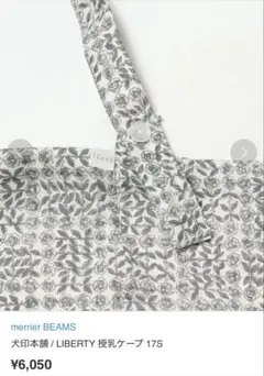 Item thumbnail for item 829378a6-5674-4c7b-bd8d-2284a77f9f78