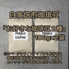 【自家焙煎珈琲豆】お好きなコーヒー豆2種　100g×2袋のサムネイル