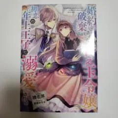 婚約破棄された替え玉令嬢、初恋の年上王子に溺愛される