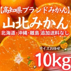 138ブランドみかん 高知産 山北みかん10kg 特産 産地直送 蜜柑 送料無料 138ブランドみかん 高知産 山北みかん10kg 特産 産地直送 蜜柑 送料
