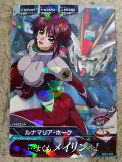 ルナマリア・ホークＳＥＥＤ20周年記念トライエイジデータカードダス(★即購入禁止