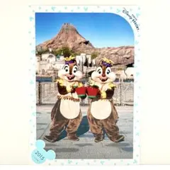 Item thumbnail for item b0503f1a-4933-4764-9542-311616cc5312