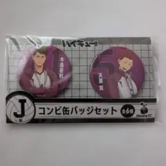 ハイキュー!! J賞 コンビ缶バッジセット 牛島若利 天童覚 - メルカリ
