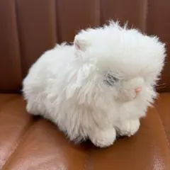 卯*様 当時物 白猫 ペルシャ猫 ぬいぐるみ 昭和レトロ m5 - メルカリ
