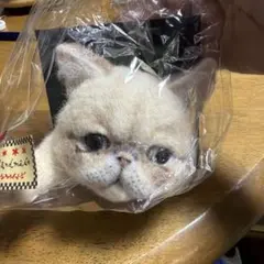 エキゾチックショートヘアのハンドメイド壁掛けのサムネイル