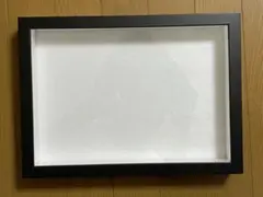 標本箱A4サイズ黒
