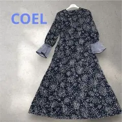 【美品】コエル　オパール加工　日本製　袖口　シアー　フラワーワンピース　Aライン