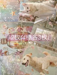 [デ1119] Seina様 デザインペーパー デ1119] Seina様 デザインペーパー - メルカリ
