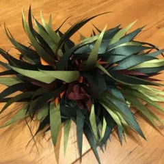 フラダンス　ヘアクリップ　リボンレイ　ティーリーフ　ハワイアン　1回使用 美品