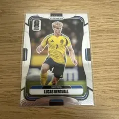 2026年最新】LUCAS bergvallの人気アイテム - メルカリ