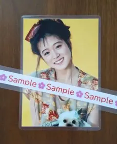 中森明菜 L判ラミネート写真 5のサムネイル