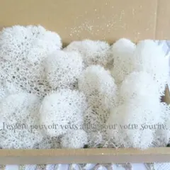 加工花材＊　キラ ラメ モス　プリザーブドフラワー　ハーバリウム　レジン　花材