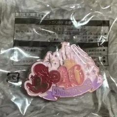 ディズニーランド　40周年　ピンバッジ　非売品