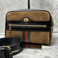未使用級✨GUCCI ショルダーバッグ スエード GGロゴ シェリーライン 茶