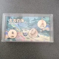 化石３点セットのサムネイル