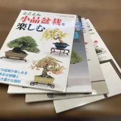 2026年最新】盆栽世界の人気アイテム - メルカリ