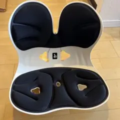 【ドイツ レッドドット賞受賞ブランド】(デズヤ）第二世代 姿勢矯正