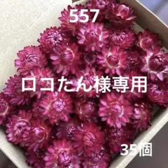 ロコたん様 リクエスト 2点 まとめ商品