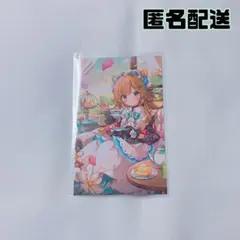 エリー・コニファー コレカ