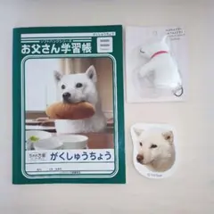 SoftBank お父さんのノベルティグッズセット