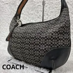 COACH Signature Crescent Hobo Bag Black