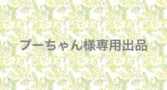 ⑫プーちゃん様専用出品
