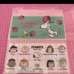 スヌーピー　マイナンバーカードケース　2デザイン各1枚　いちご＆フレンズ⑤