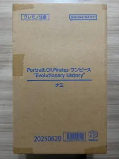 P.O.P ワンピース “Evolutionary History” ナミ