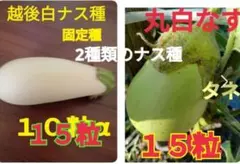 ぽけぽけこ様 リクエスト 5点 まとめ商品