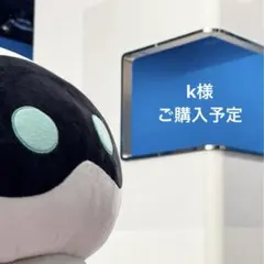 k様専用　　JINマグネット＆クリップ