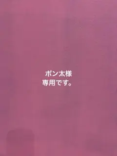 ポン太様 リクエスト 2点 まとめ商品
