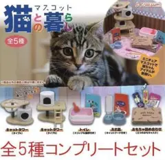 ここ様 リクエスト 2点 まとめ商品