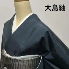 【超美品】大島紬 紬 大島 小紋 袷 広衿 着物